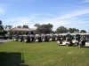 Golf carts 2
