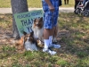 2015_angel_walk_35