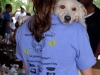 angel-walk-124